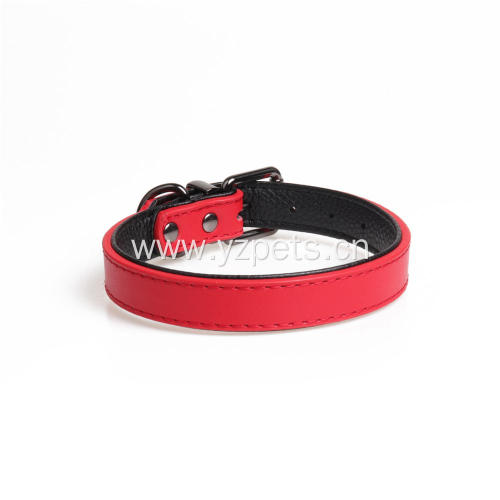 Colorful Pu Dog Collar